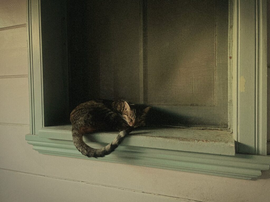 「世界から猫が消えたなら」のよくある質問